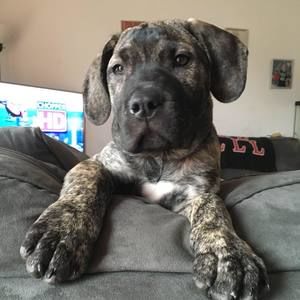 Meet your Posher, Kelly